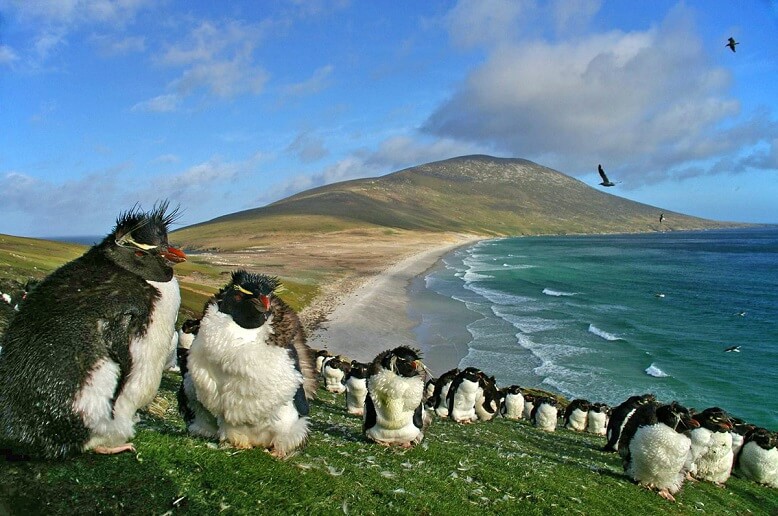 Falkland Adaları Uçak Bileti