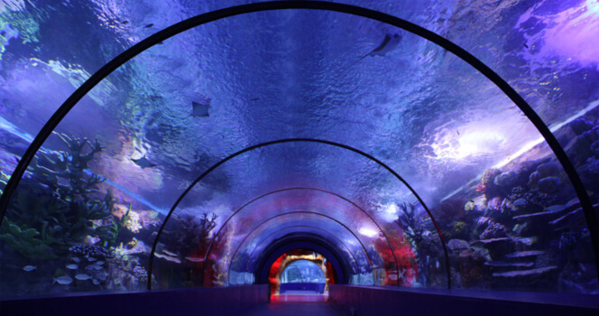 Antalya Aquarium Bileti - 1