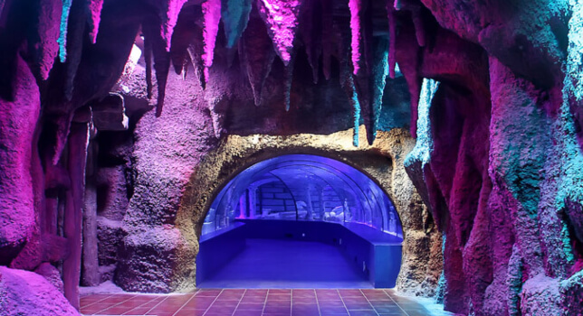 Antalya Aquarium Bileti - 4